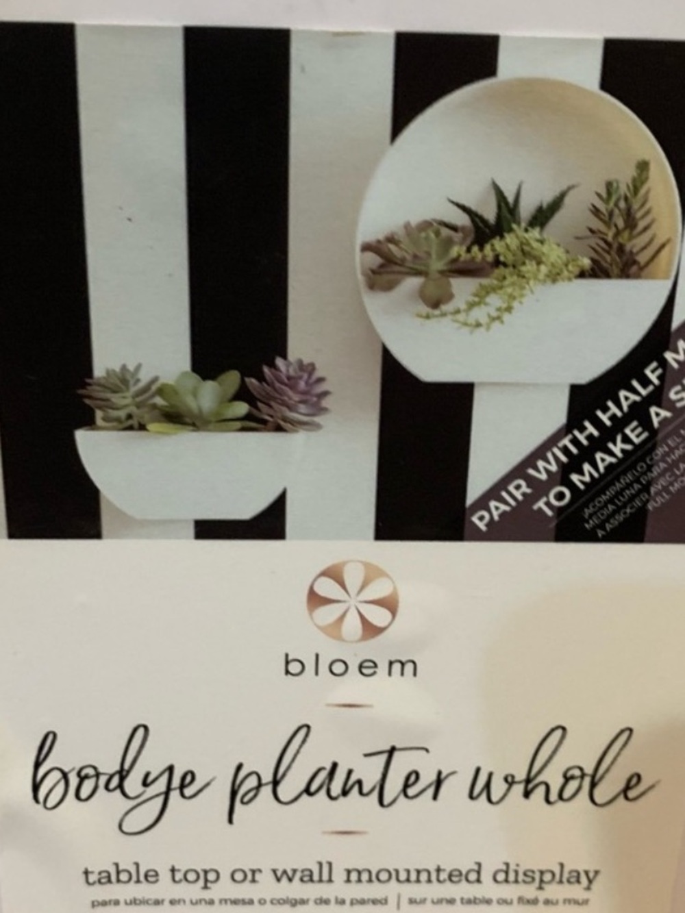 SALE!! Full Moon Bloem Bodye Planter indoor or outdoor.  3